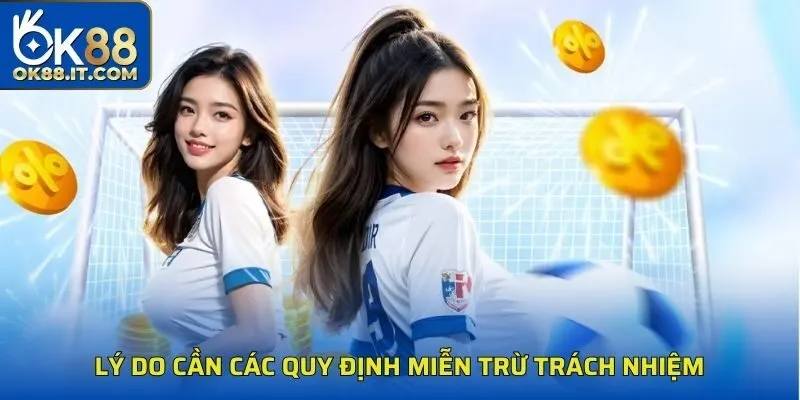 Toàn Cảnh Chính Sách Miễn Trừ Trách Nhiệm Cần Đọc Kỹ 1 Lý do cần các quy định miễn trừ trách nhiệm