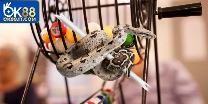 Nên tính toán tiền lỗ trước để đảm bảo an toàn