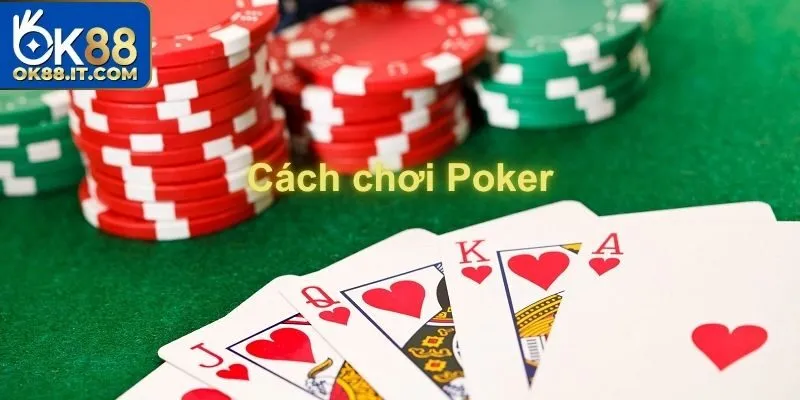 Thuật Ngữ Poker - Tất Tần Tật Những Điều Tân Binh Cần Biết 11 thuật ngữ poker