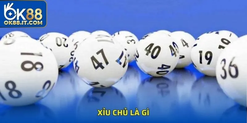 Xỉu Chủ Là Gì - Giải Mã Khái Niệm Và Cách Bắt Cực Chuẩn 8 xỉu chủ là gì